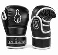 Boxing Gloves + MMA Gloves Combo