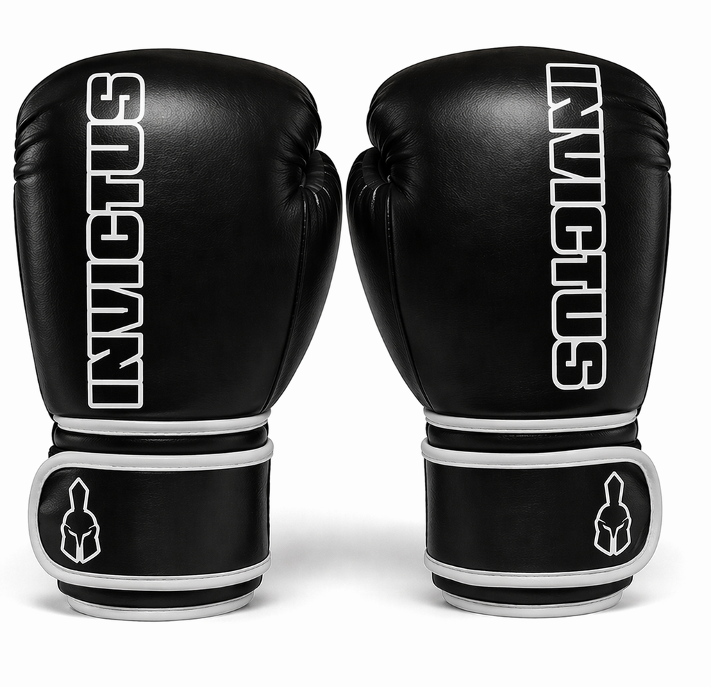 Boxing Gloves + MMA Gloves Combo