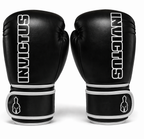 Boxing Gloves + MMA Gloves Combo