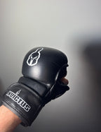 Boxing Gloves + MMA Gloves Combo