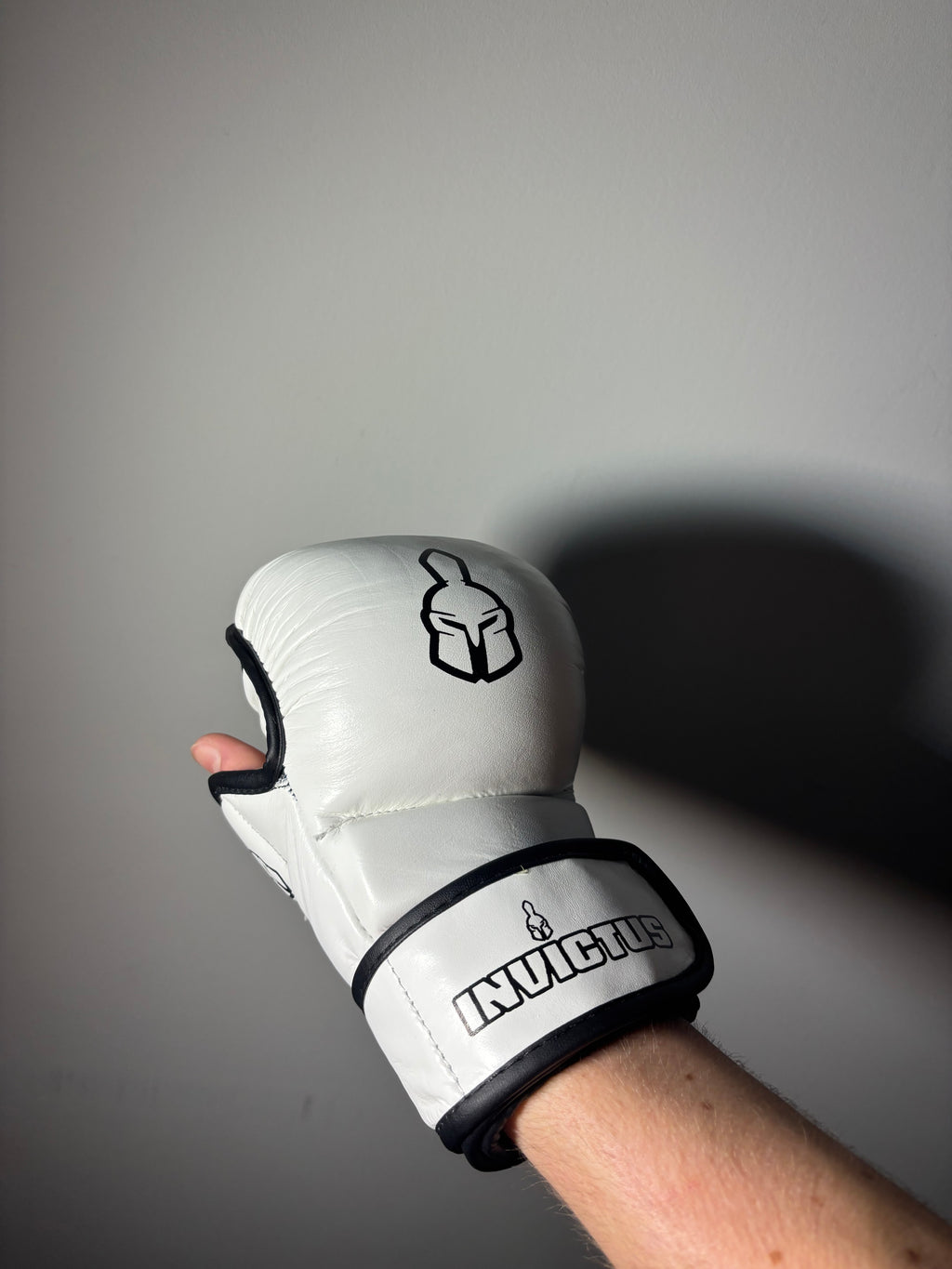 Boxing Gloves + MMA Gloves Combo